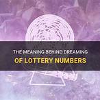 dreaming lottery numbers